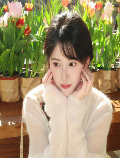 文化研究：《梦想之家》如何展现斯坦尼康的稳定运动与流畅感 揭示电影的文化价值与意义